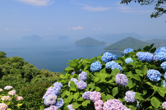 紫雲出山